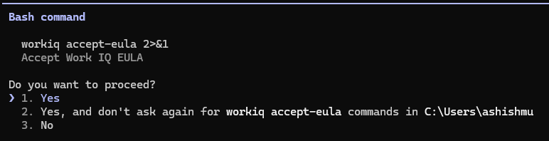 /mcp output showing WorkIQ installed